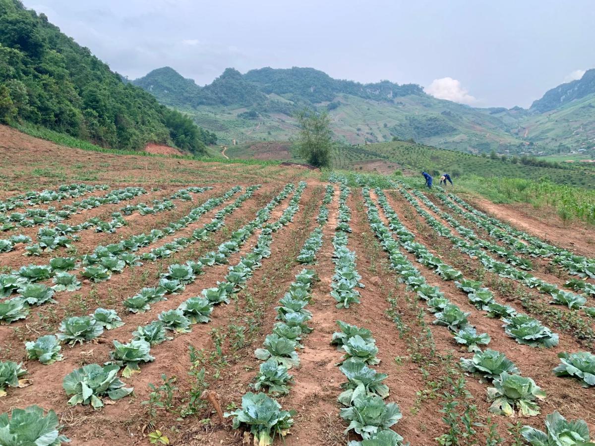 Muong Sang Farmstay Moc Chau Extérieur photo